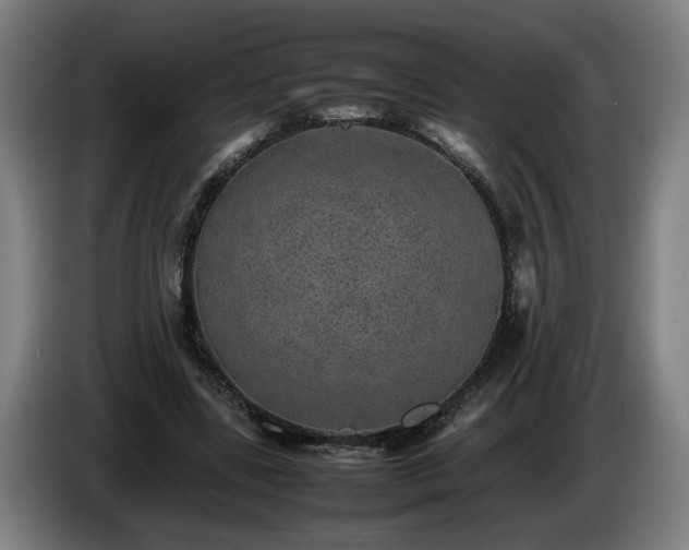 X0000086760539200704201747