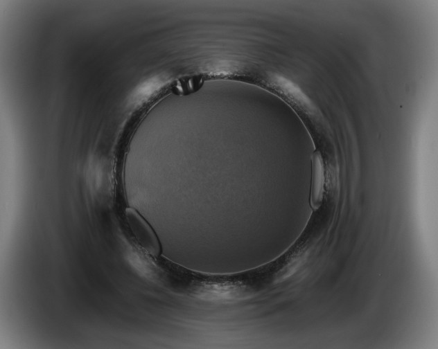 X0000086760540200704201747