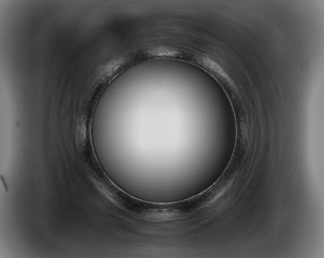 X0000086760541200704201747