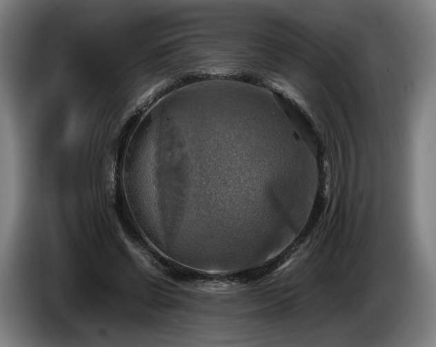 X0000086760542200704201747