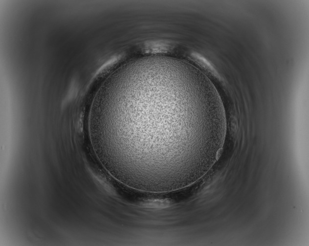 X0000086760543200704201747