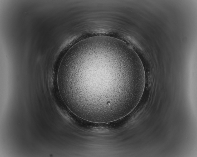 X0000086760544200704201747