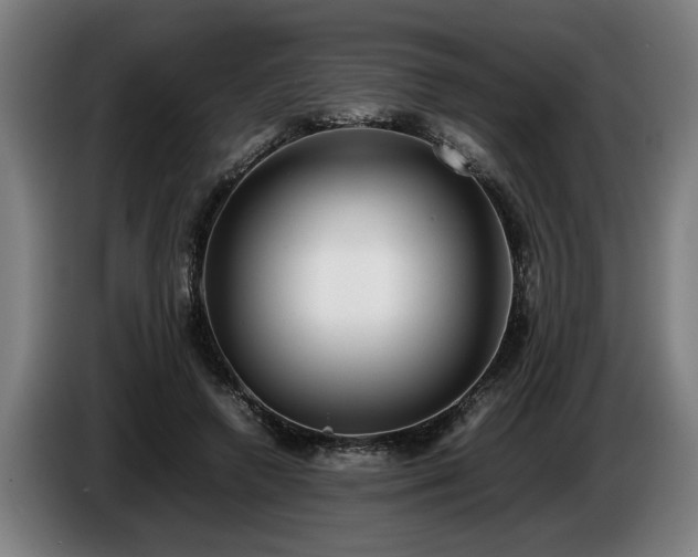 X0000086760546200704201747