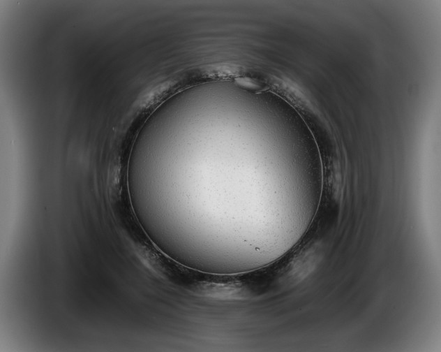X0000086760548200704201747
