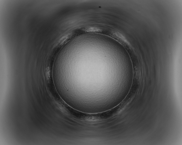 X0000086760549200704201747