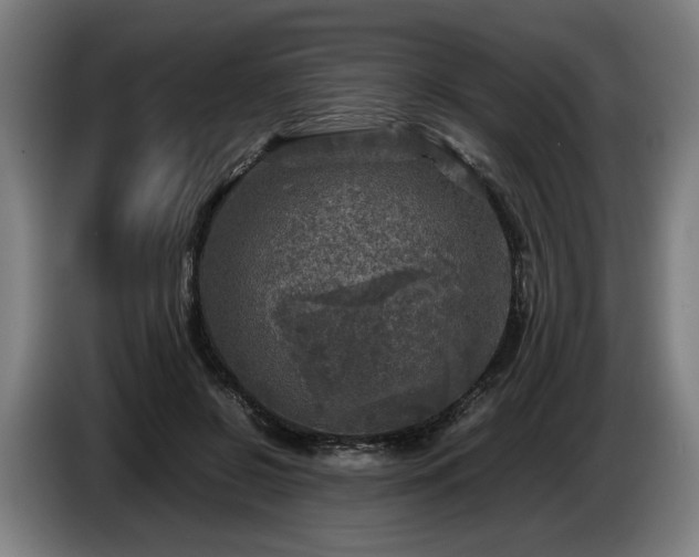 X0000086760550200704201747