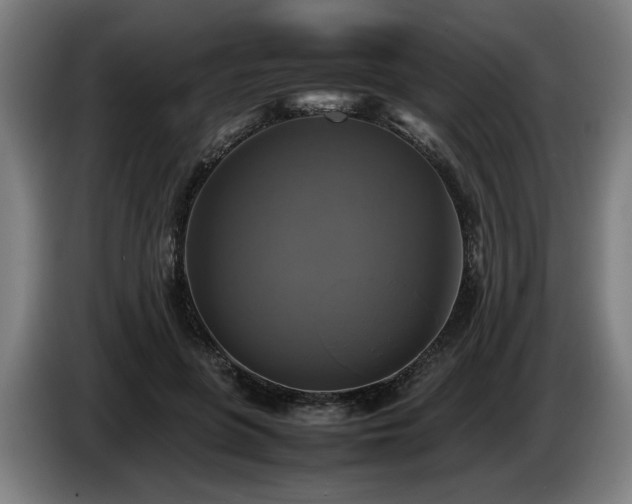 X0000086760551200704201747