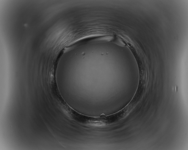 X0000086760553200704201747