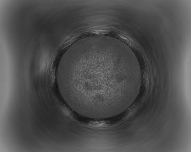 X0000086760554200704201747