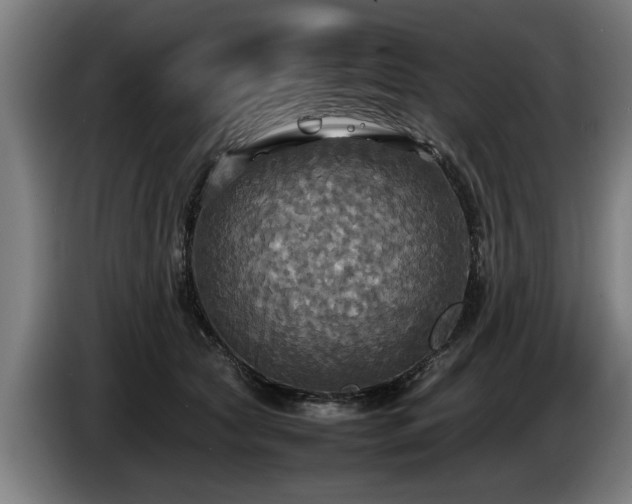X0000086760561200704201747