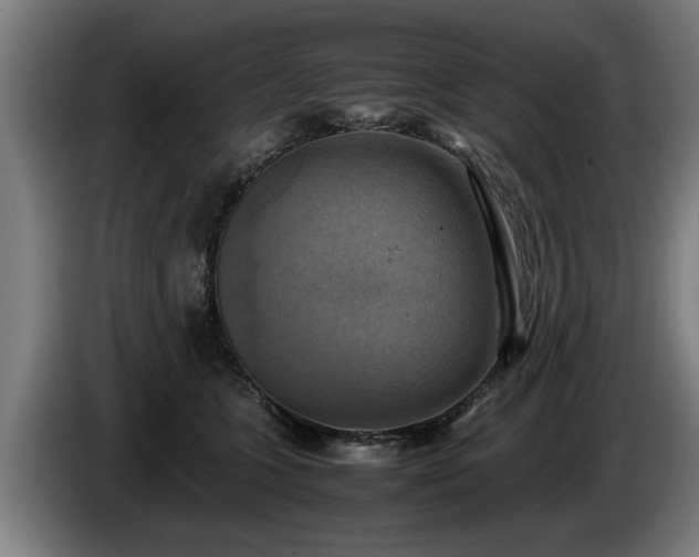 X0000086760563200704201747