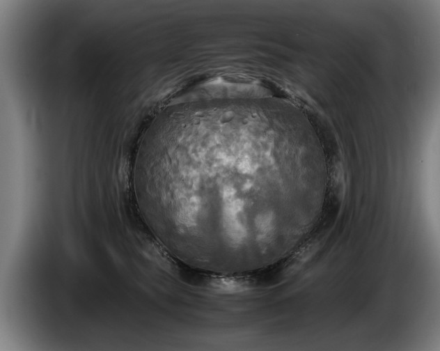 X0000086760565200704201747