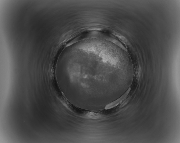 X0000086760568200704201747