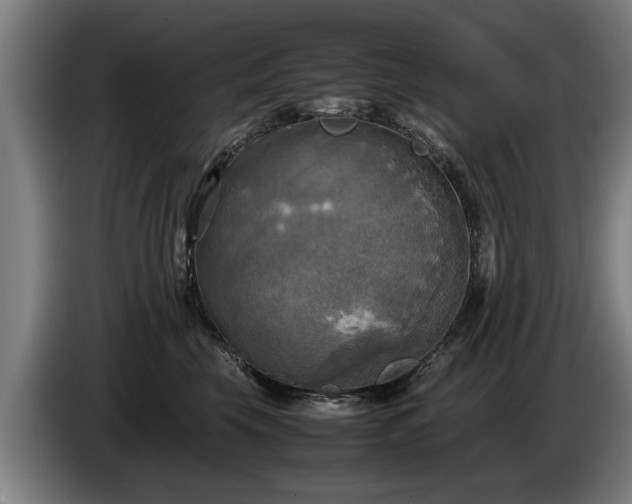 X0000086760569200704201747