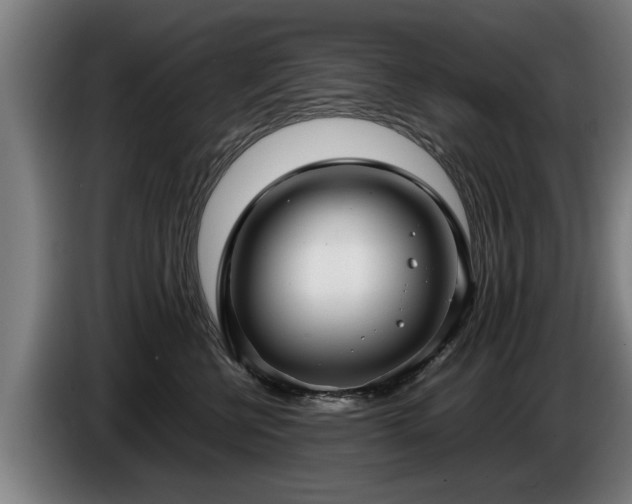 X0000086760570200704201747