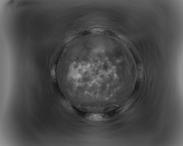 X0000086760573200704201747