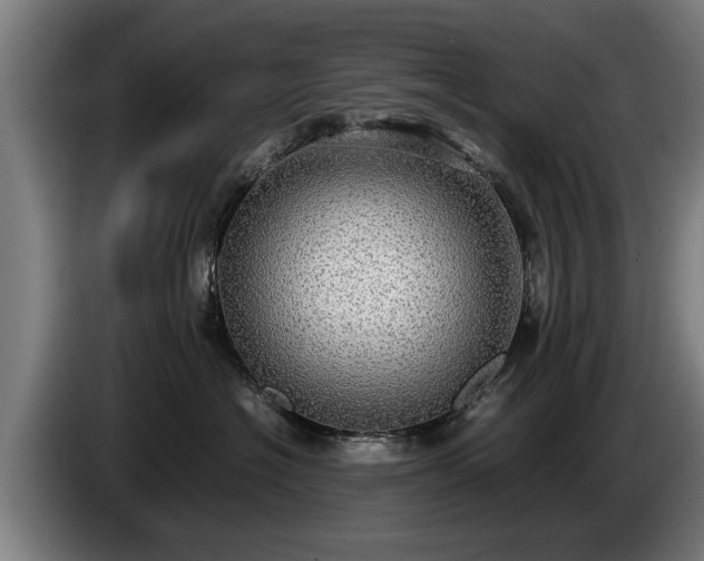 X0000086760574200704201747
