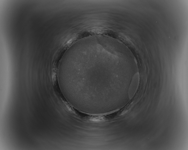 X0000086760576200704201747