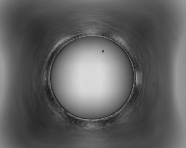 X0000086760579200704201747