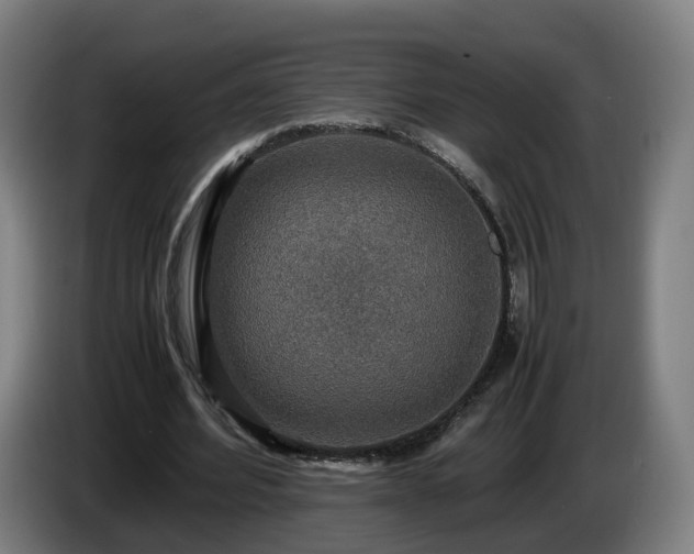 X0000086760580200704201747