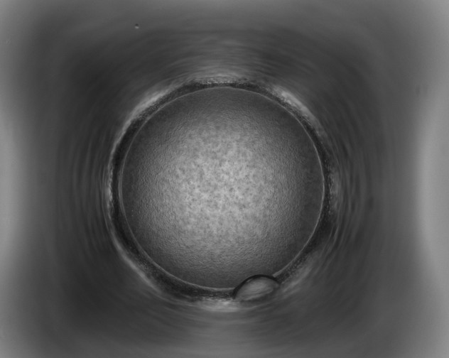 X0000086760582200704201747