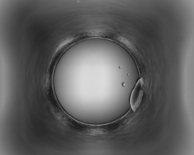 X0000086760583200704201747