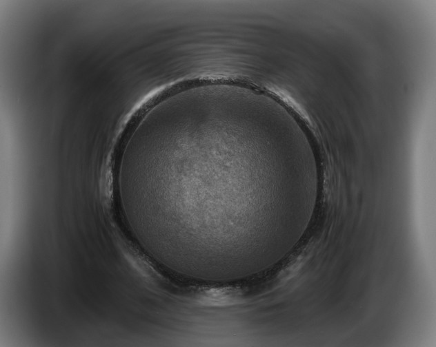 X0000086760584200704201747