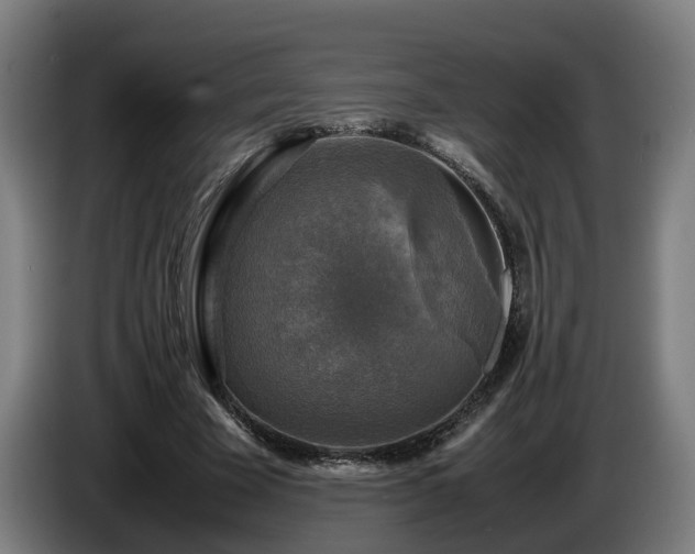 X0000086760585200704201747