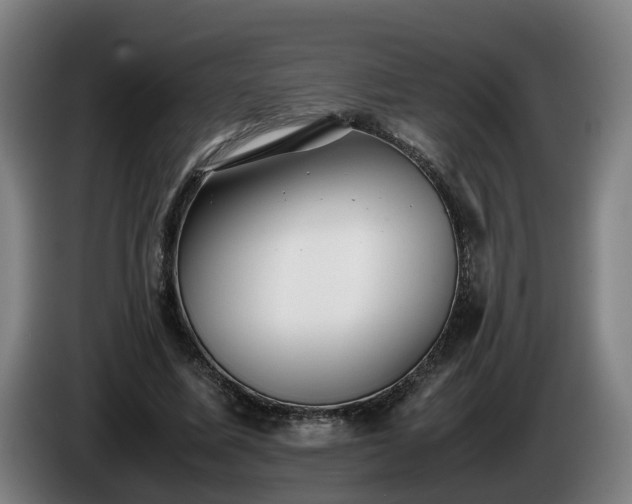 X0000086760587200704201747