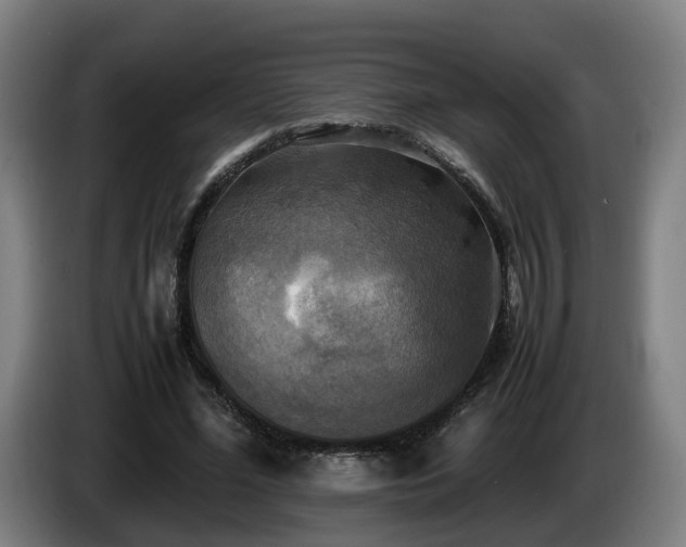 X0000086760588200704201747