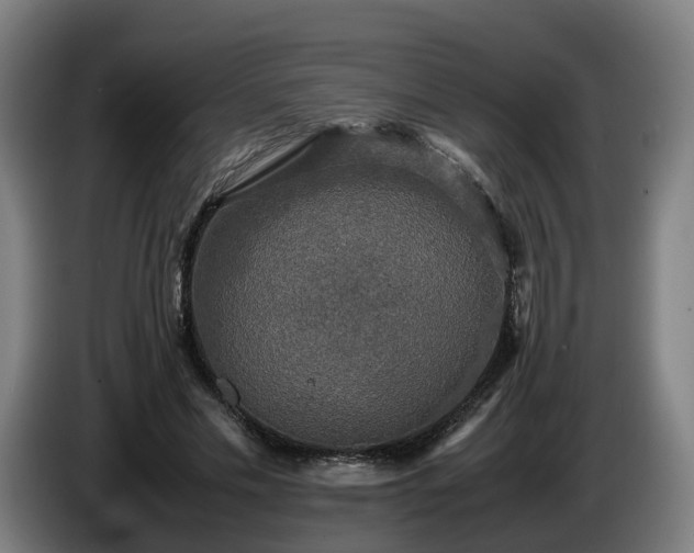 X0000086760589200704201747