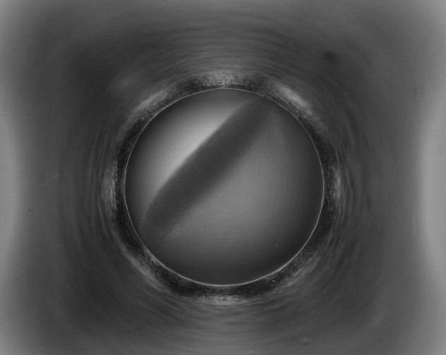 X0000086760590200704201747