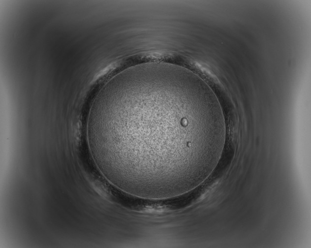 X0000086760591200704201747
