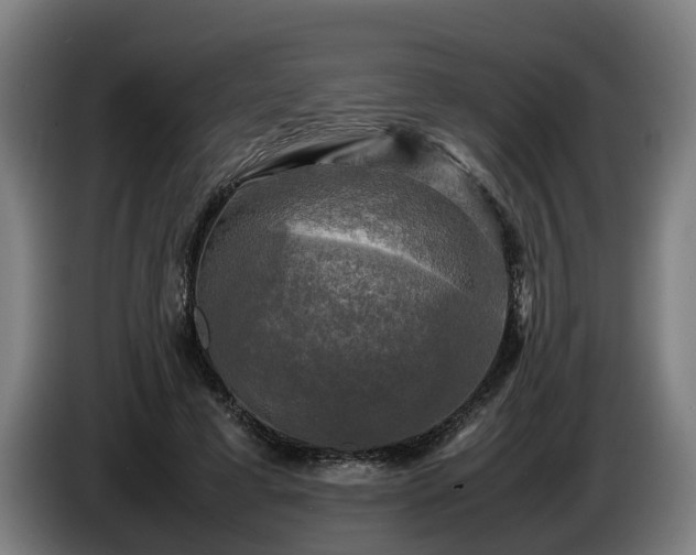 X0000086760593200704201747