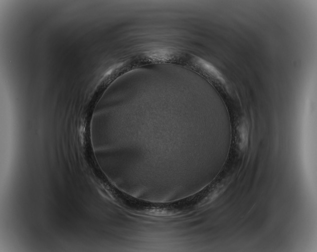 X0000086760596200704201746