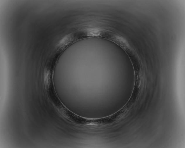 X0000086760598200704201746