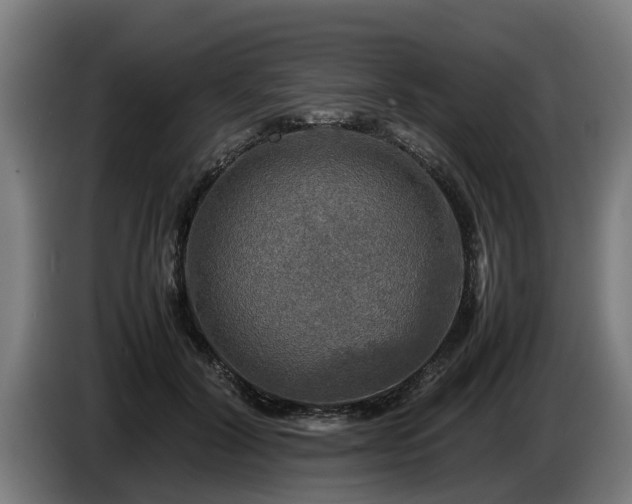 X0000086760604200704201746