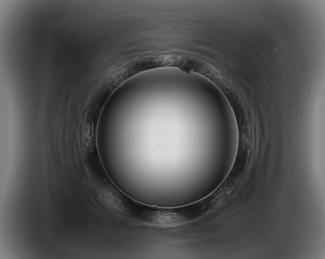 X0000086760605200704201746
