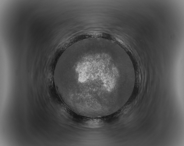 X0000086760609200704201746