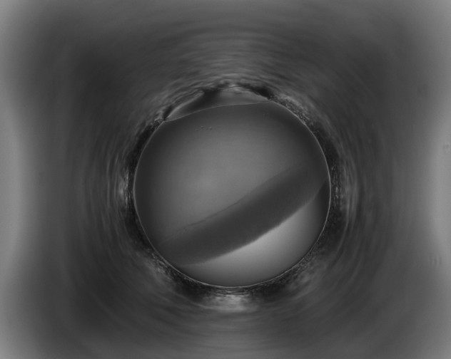 X0000086760610200704201746