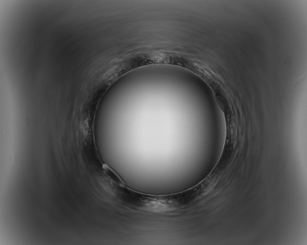 X0000086760611200704201746