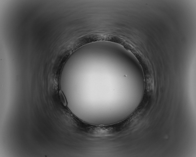 X0000086760613200704201746