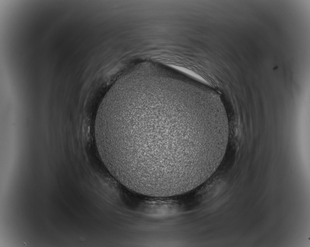 X0000086760615200704201746