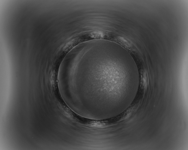 X0000086760616200704201746