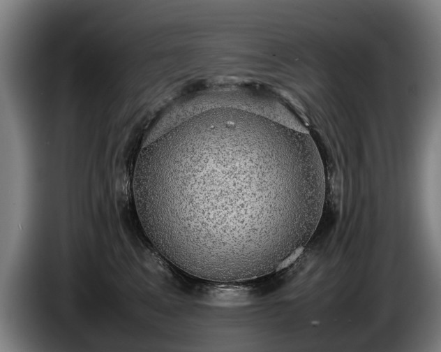 X0000086760617200704201746