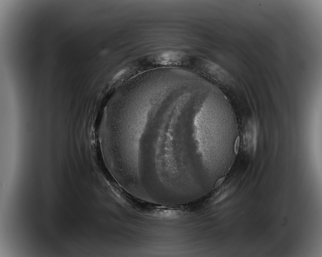 X0000086760620200704201746