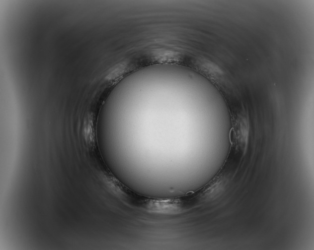 X0000086760622200704201746