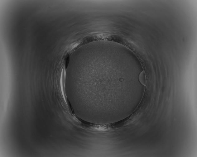 X0000086760624200704201746