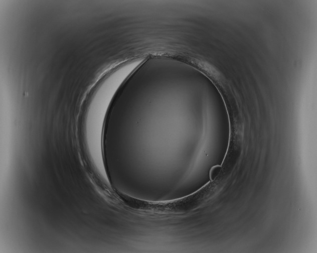 X0000086760626200704201746