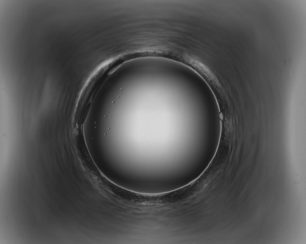 X0000086760628200704201746